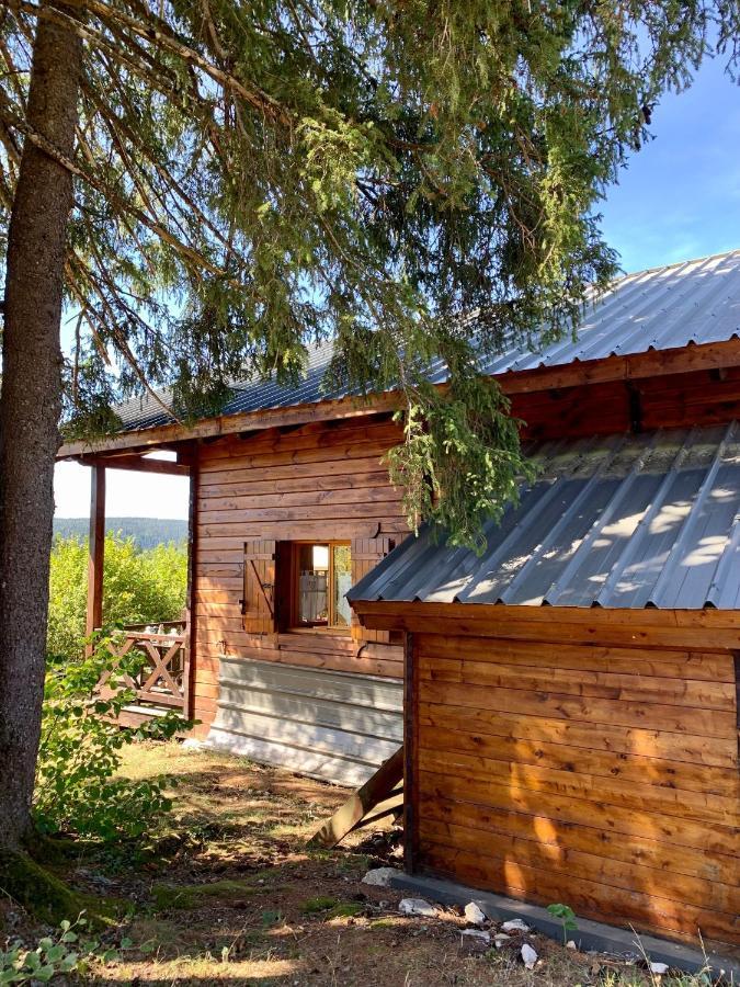 Chalet Du Bois Joli Saint-Laurent-en-Grandvaux Exteriör bild