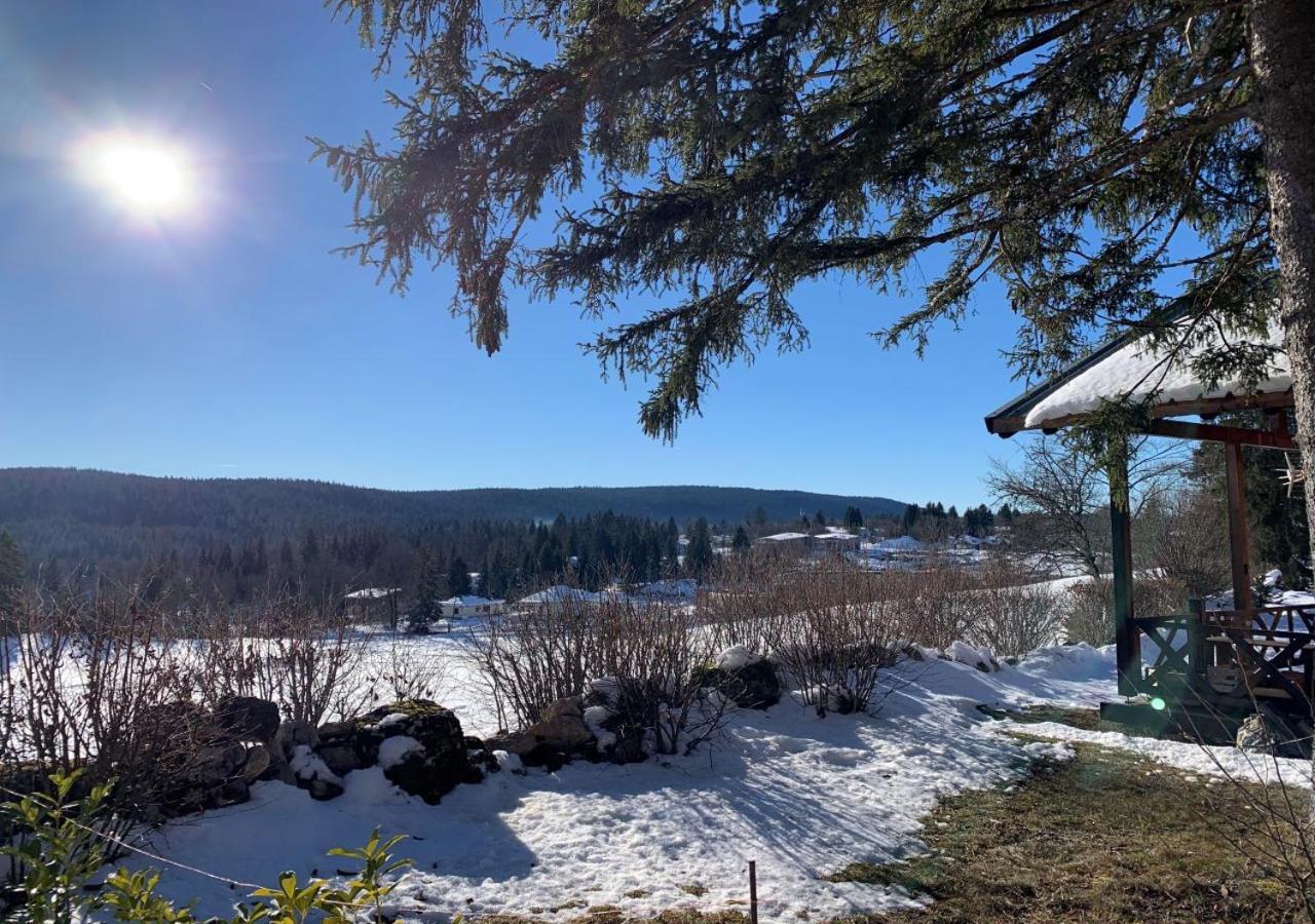 Chalet Du Bois Joli Saint-Laurent-en-Grandvaux Exteriör bild