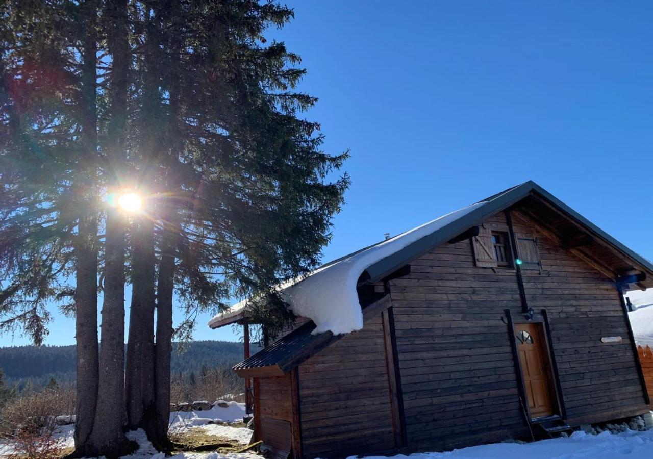 Chalet Du Bois Joli Saint-Laurent-en-Grandvaux Exteriör bild
