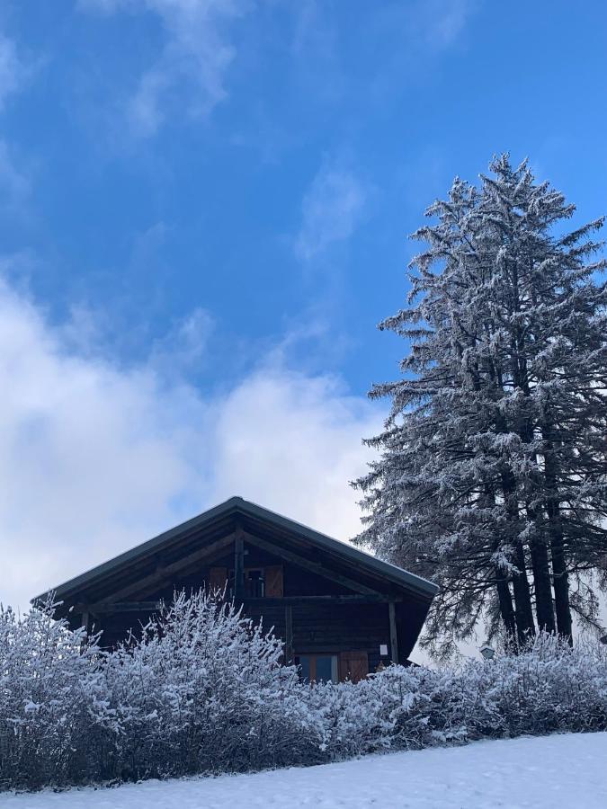 Chalet Du Bois Joli Saint-Laurent-en-Grandvaux Exteriör bild
